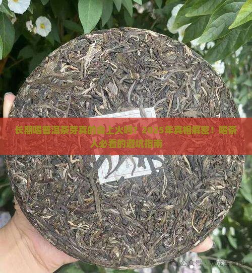 长期喝普洱茶芽上火