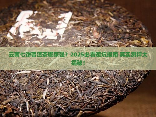 云南七饼普洱茶哪个牌子好