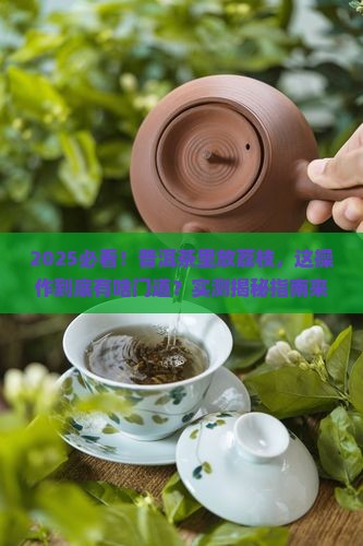 普洱茶里放荔枝