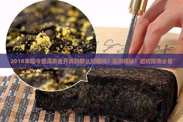 福今普洱茶2018年金盛开汤
