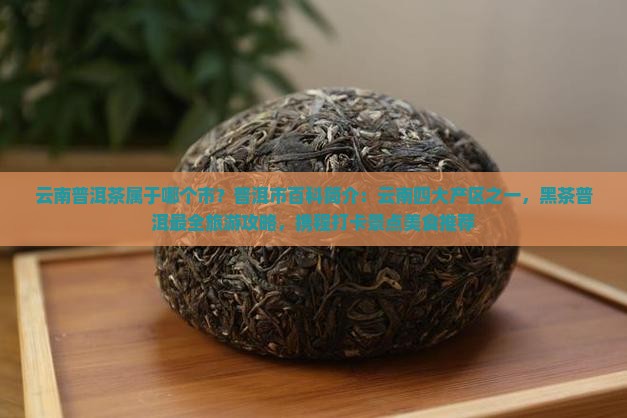 云南普洱茶属于哪个市