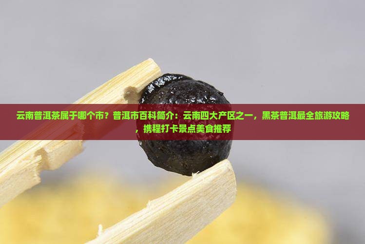 云南普洱茶属于哪个市