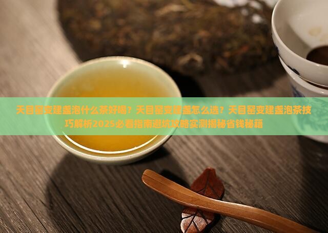 天目窑变建盏泡什么茶好喝