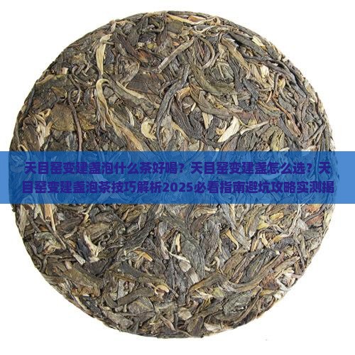 天目窑变建盏泡什么茶好喝