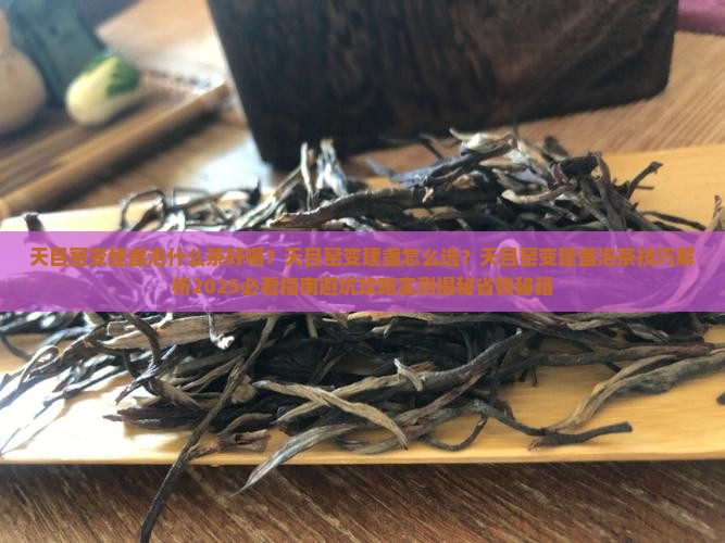 天目窑变建盏泡什么茶好喝
