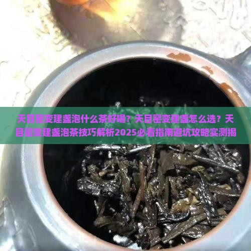 天目窑变建盏泡什么茶好喝