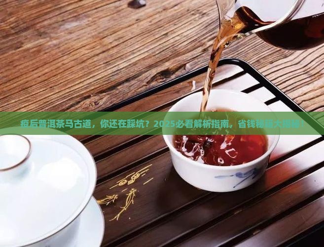 疫后普洱茶马古道