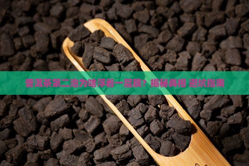 普洱茶第二泡上面为什么有层膜