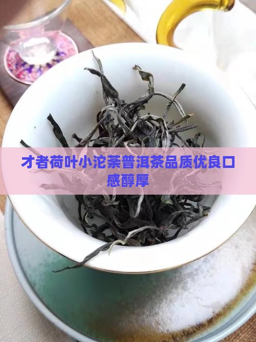 才者荷叶小沱荼普洱茶