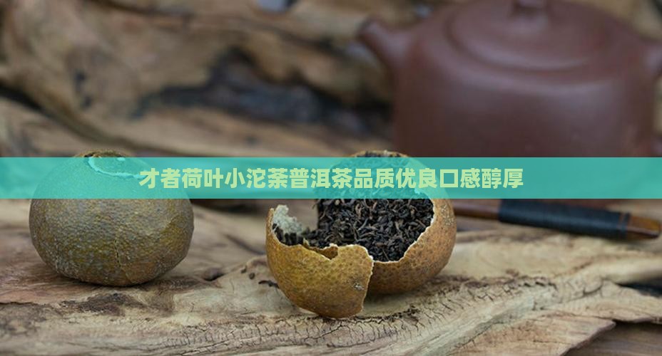 才者荷叶小沱荼普洱茶