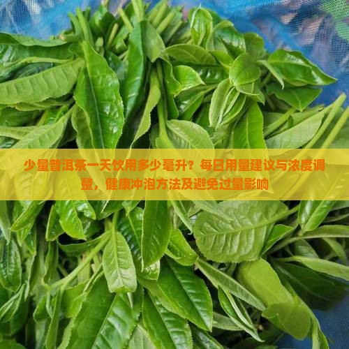 1天喝多少量普洱茶好