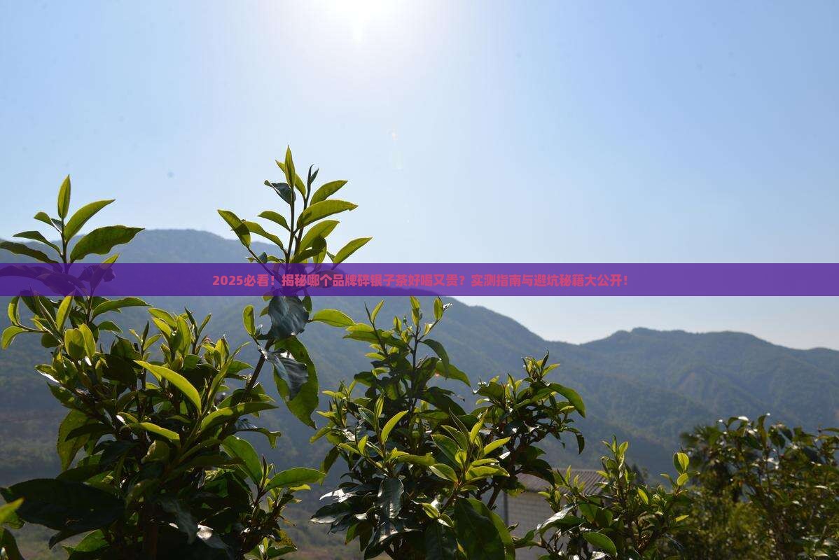 哪个品牌的碎银子茶好喝又贵