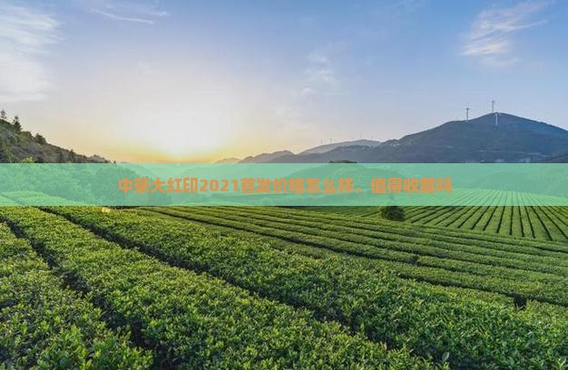 中茶大红印2021首发价格