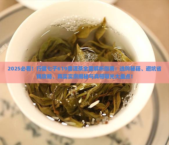 行健七子619普洱茶