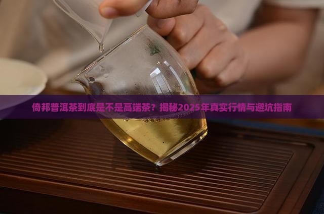 倚邦普洱茶是高端茶吗