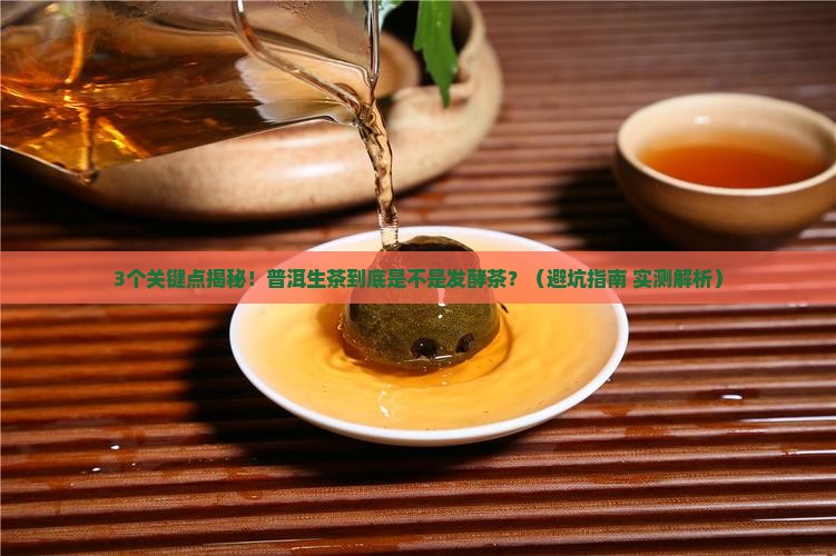 普洱生茶是属于发酵茶吗