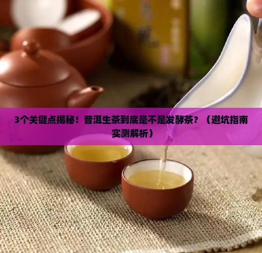 普洱生茶是属于发酵茶吗