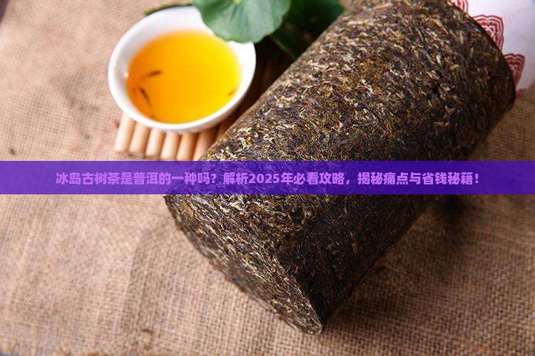 冰岛古树茶普洱的一种