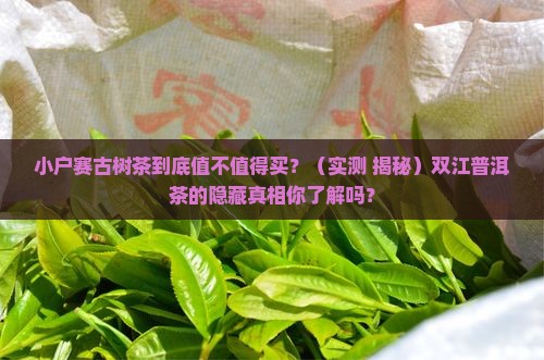 双江古树茶小户赛普洱茶的特点