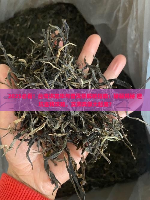台湾洪龙华与普洱茶