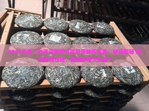 台湾洪龙华与普洱茶