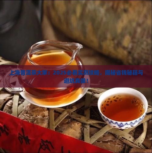 上海普洱茶大家