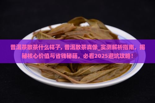 普洱茶散茶什么样子
