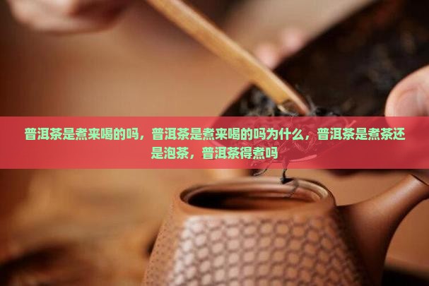 普洱茶是煮来喝的吗