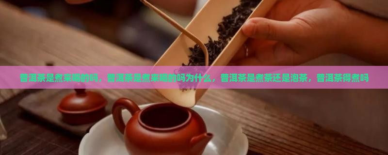 普洱茶是煮来喝的吗