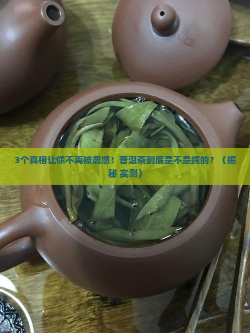 好的普洱茶是纯的么