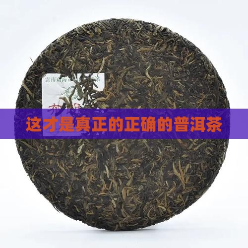 这才是真正的正确的普洱茶