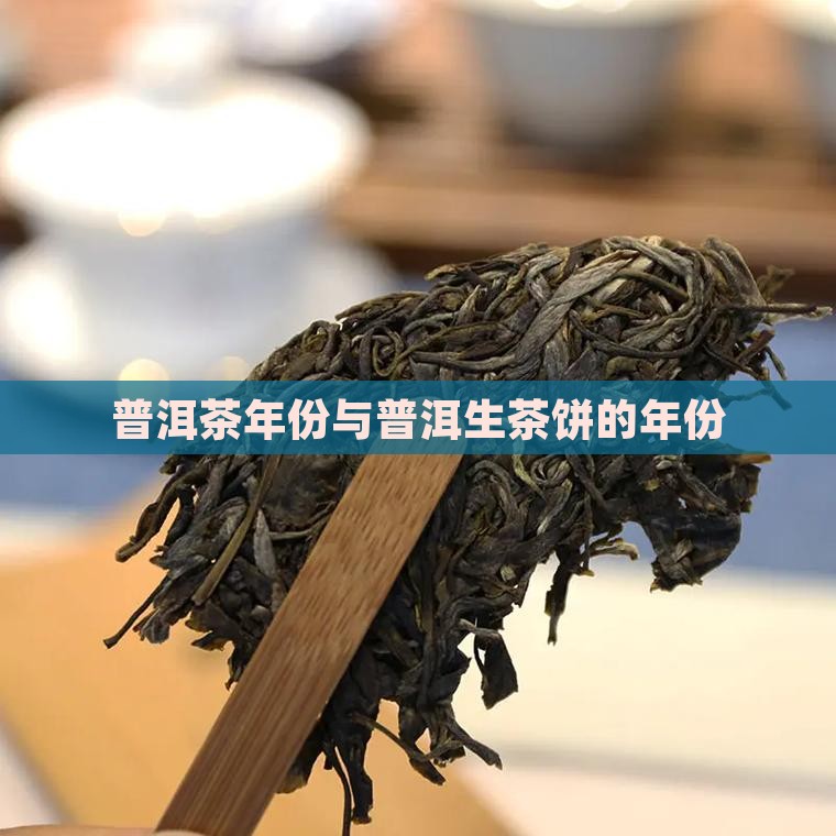 云南普洱茶饼生茶年份