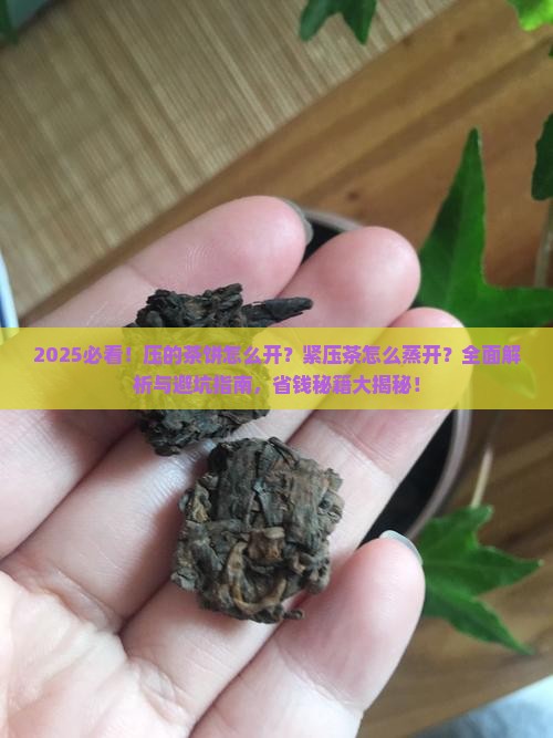 压的茶饼怎么开紧压茶怎么蒸开