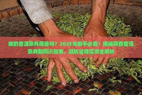嫩的普洱茶有荷香吗