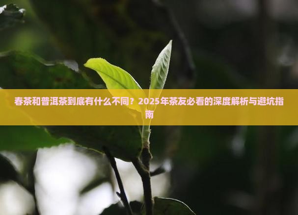 春茶和普洱茶区别 春茶和普洱茶区别