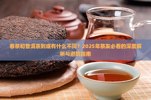 春茶和普洱茶区别 春茶和普洱茶区别
