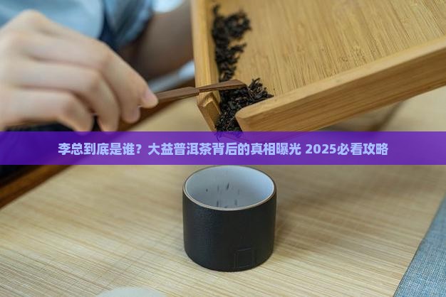 大益普洱茶李总