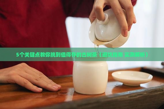 怎样的古树茶才值得存放 怎样的古树茶才值得存放