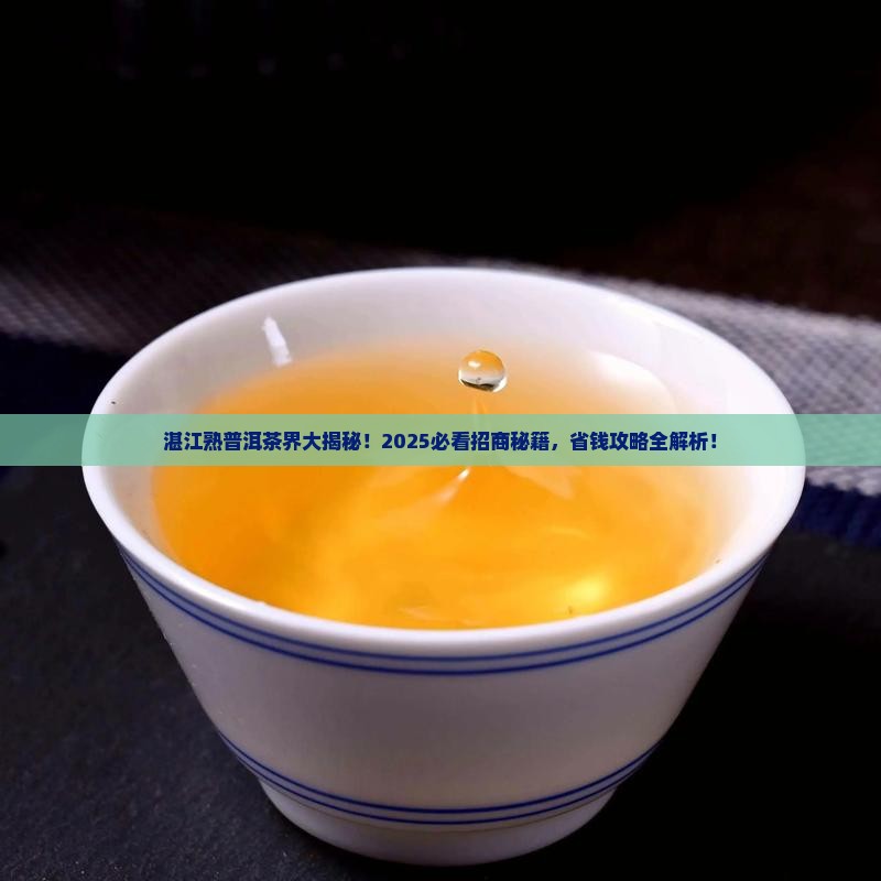 湛江知名熟普洱茶招商