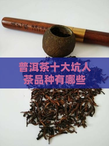 普洱茶十大坑人茶品种有哪些
