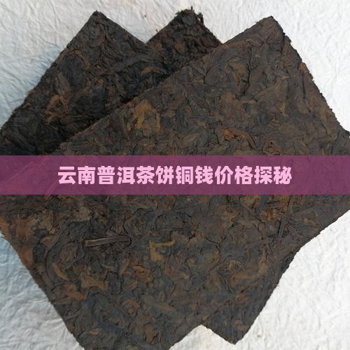 云南普洱茶饼茶同钱一样的