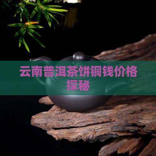 云南普洱茶饼茶同钱一样的