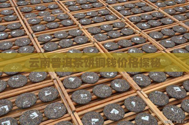 云南普洱茶饼茶同钱一样的