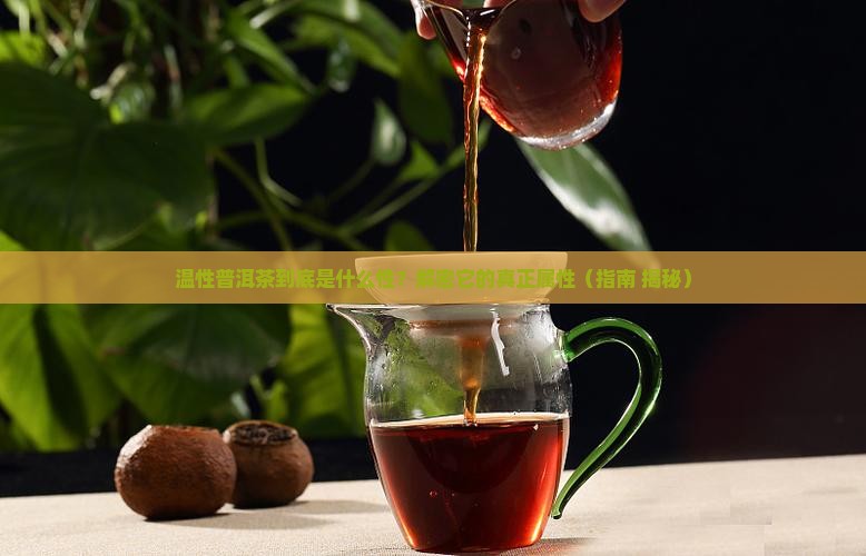 温性普洱茶属于什么性茶