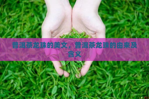 普洱茶龙珠的美文