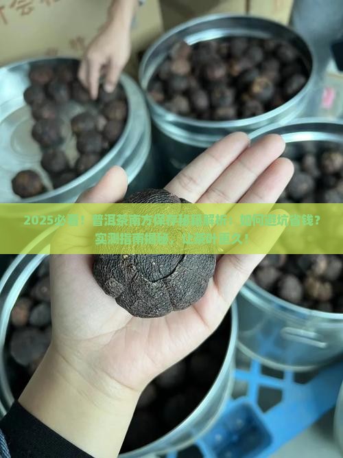 普洱茶南方怎样保存的更久