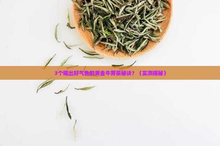 黄金牛蒡茶的效果