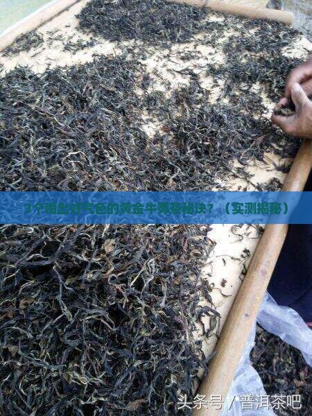 黄金牛蒡茶的效果
