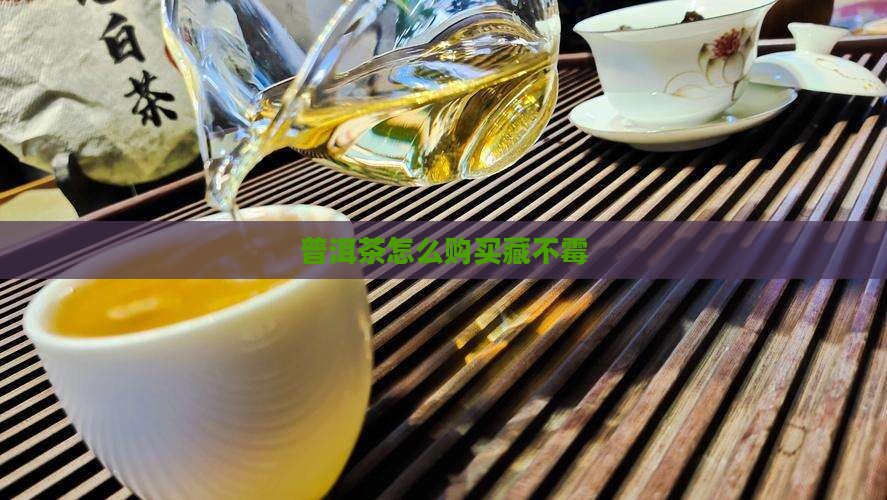 普洱茶怎么购买藏不霉