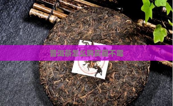 普洱茶怎么购买藏不霉